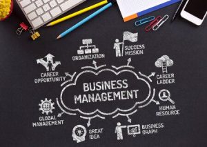 Corporation Business Management